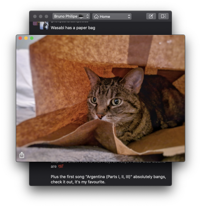 Screen shot of image attachment window displaying a large image
